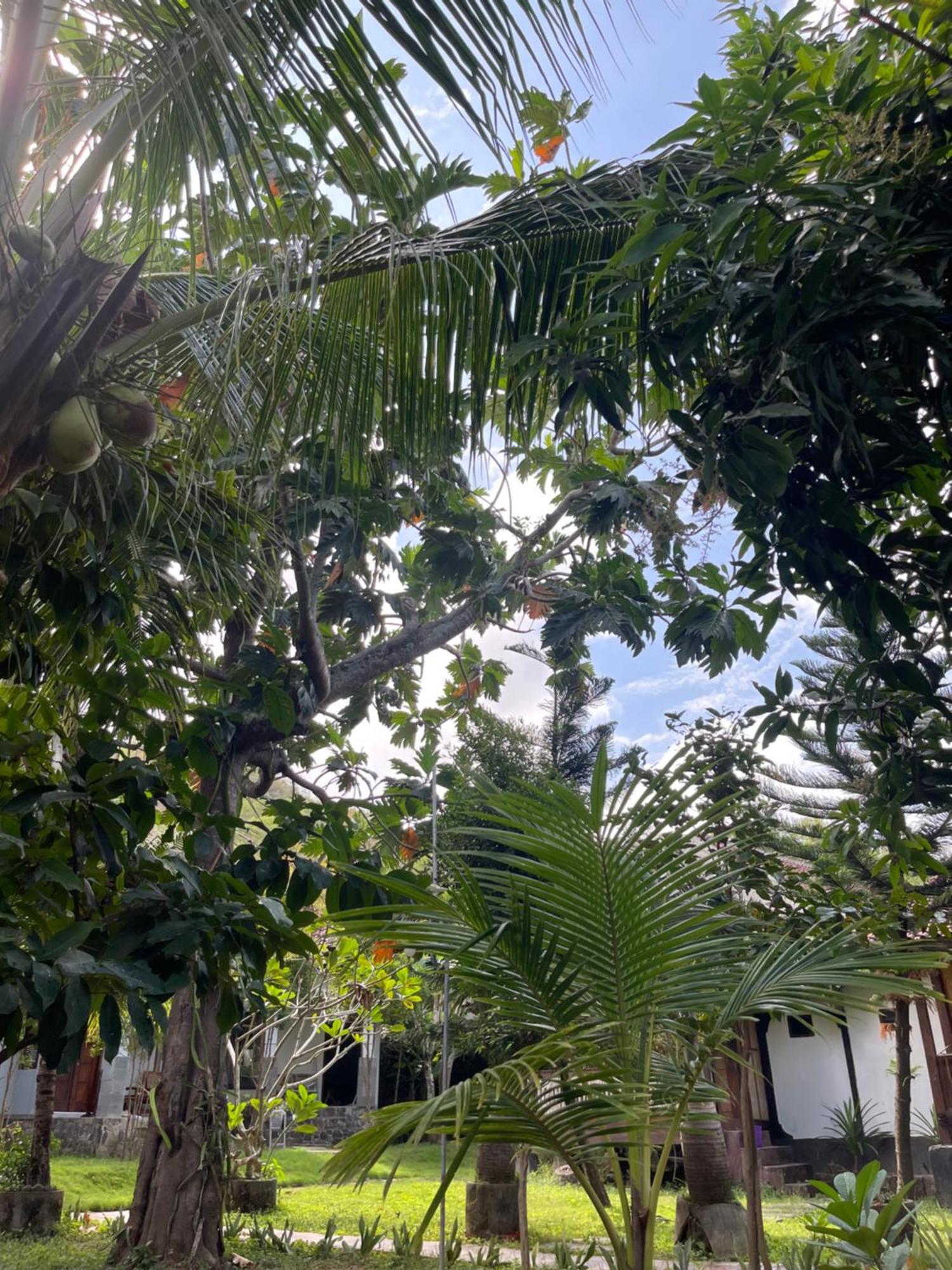Tri Putri Homestay Kuta  Esterno foto