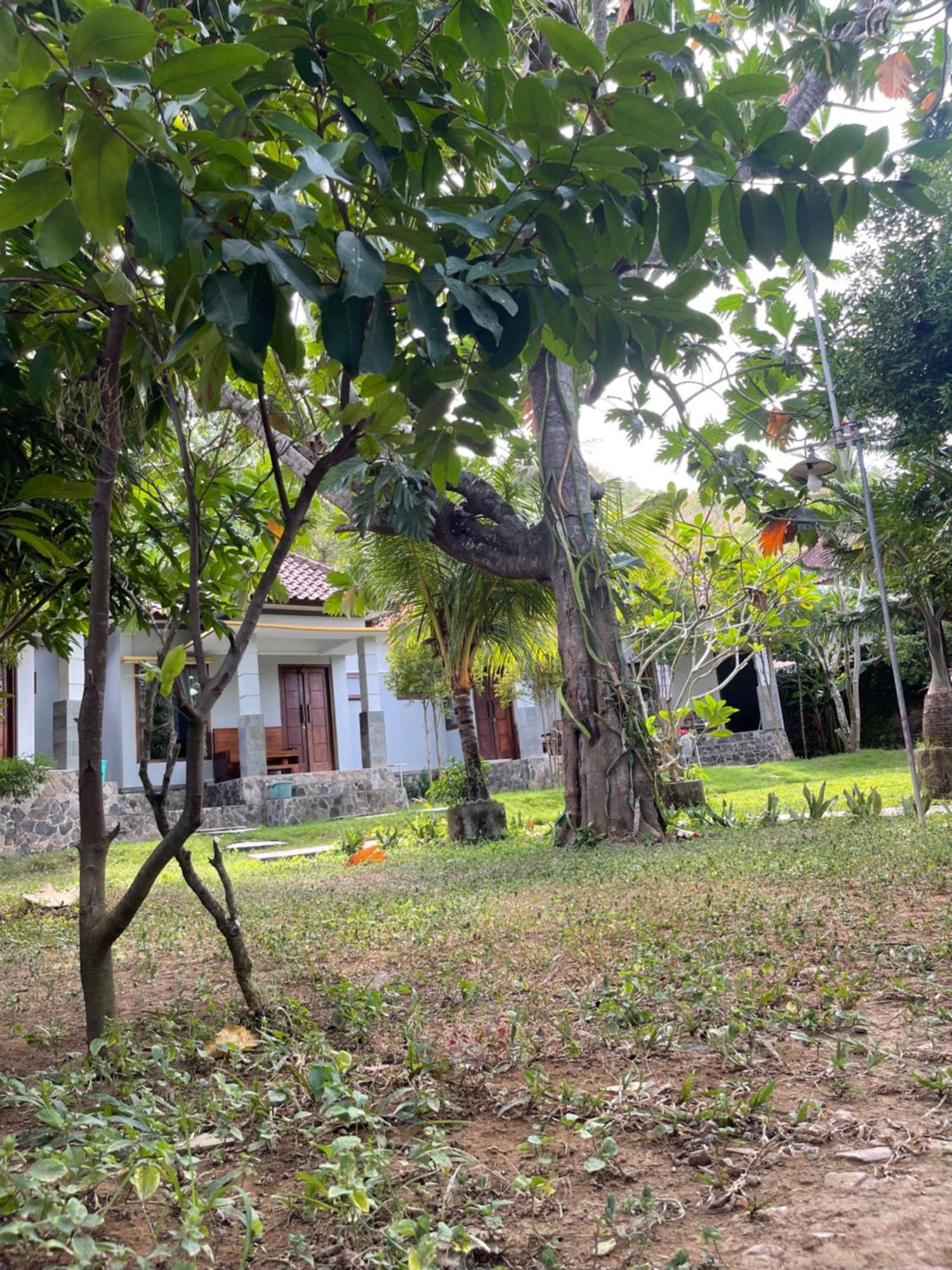 Tri Putri Homestay Kuta  Esterno foto